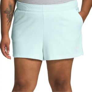 The North Face Light Blue Athletic Shorts